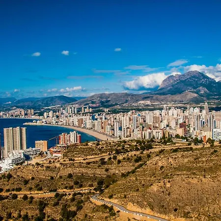 Moby Dick 16-g By Wt *