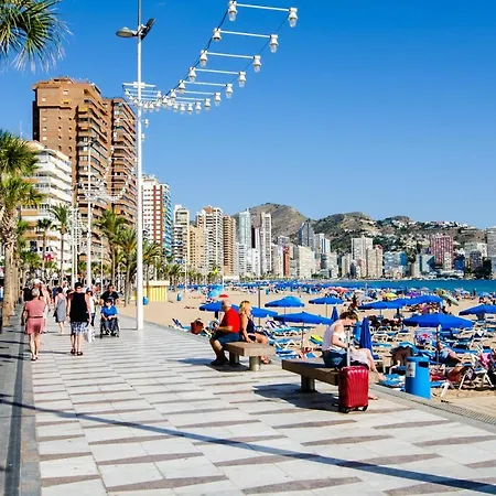 Moby Dick 16-g By Wt *